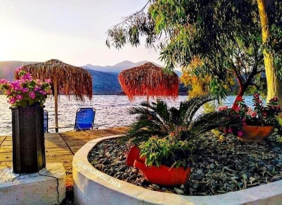 شقة Seascape - Itea -Delphi المظهر الخارجي الصورة